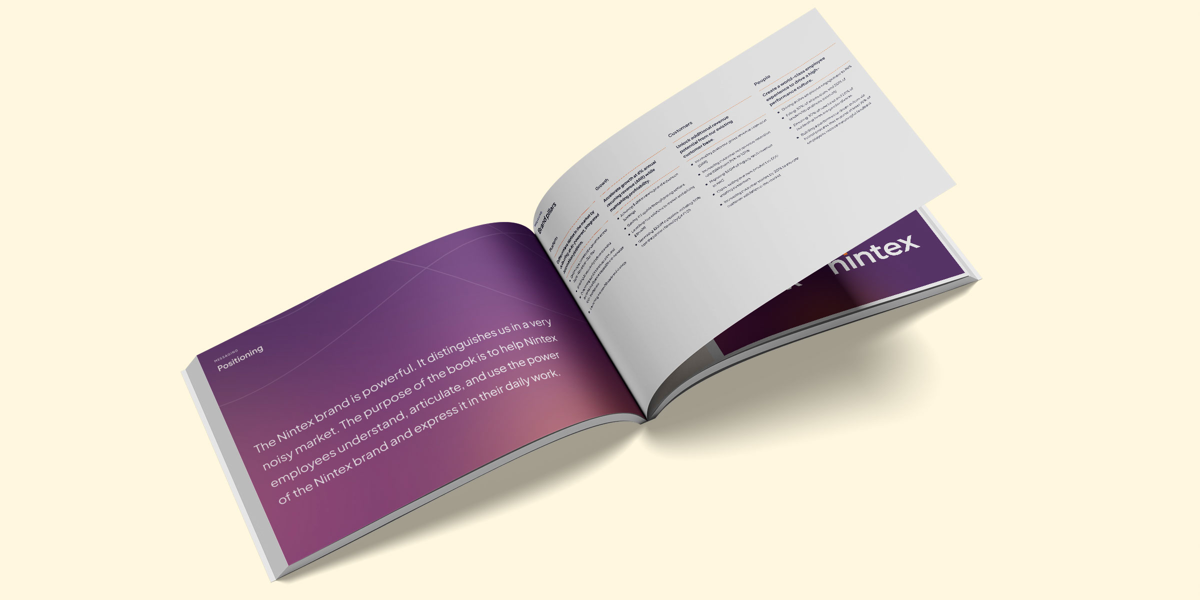 Nintex brand system